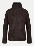 Drykorn Rollkragenpullover Arwen 1117-braun bei Robert Ley