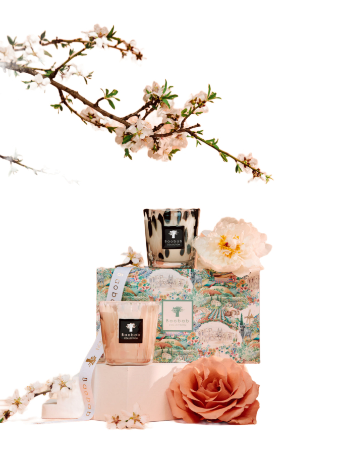 Baobab Kerzen Black Pearls und White Pearls bei Robert Ley
