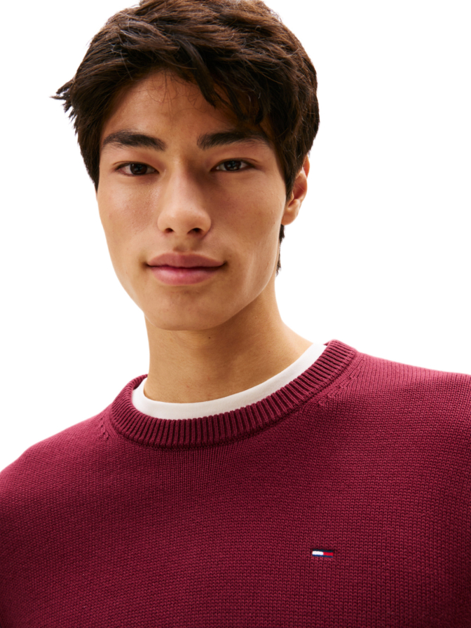 Tommy Jeans Basic Sweatshirt bei Robert Ley