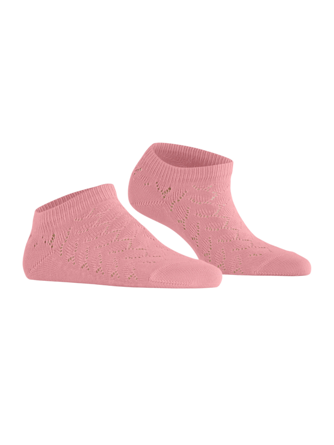Falke FALKE Family SN Special Edition bei Robert Ley