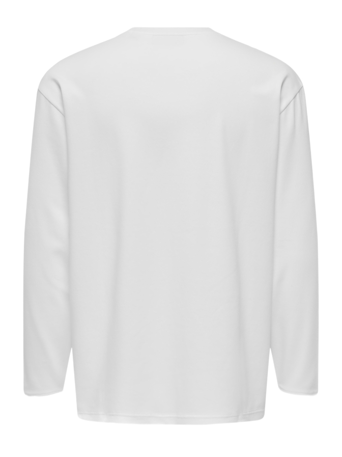 Only & Sons Basic Sweatshirt ONSCASPIAN bei Robert Ley