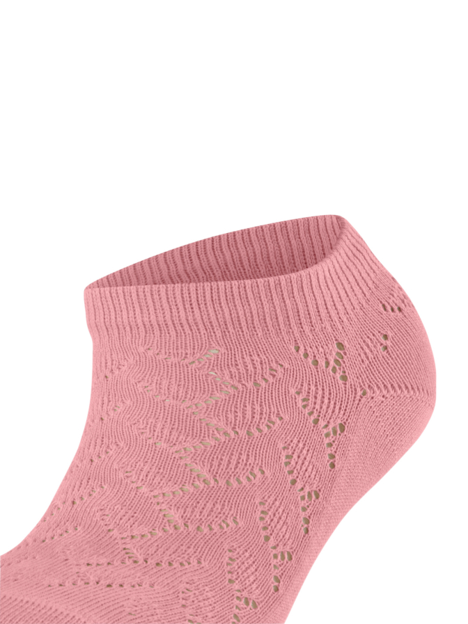 Falke FALKE Family SN Special Edition bei Robert Ley