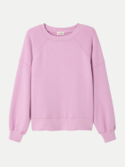 American Vintage Sweatshirt orchidee bei Robert Ley