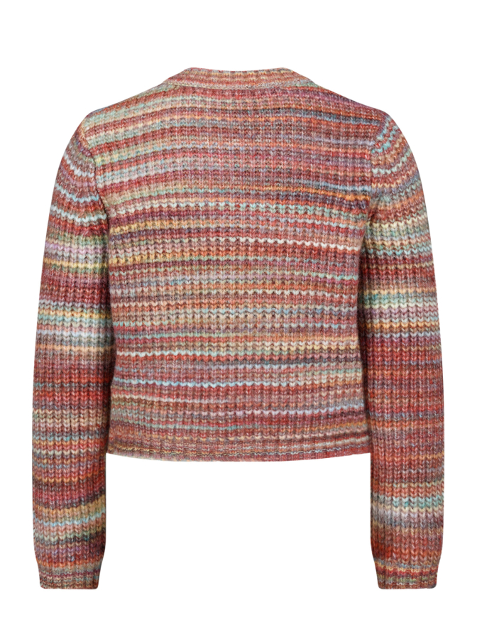 Cartoon Grobstrickjacke bei Robert Ley
