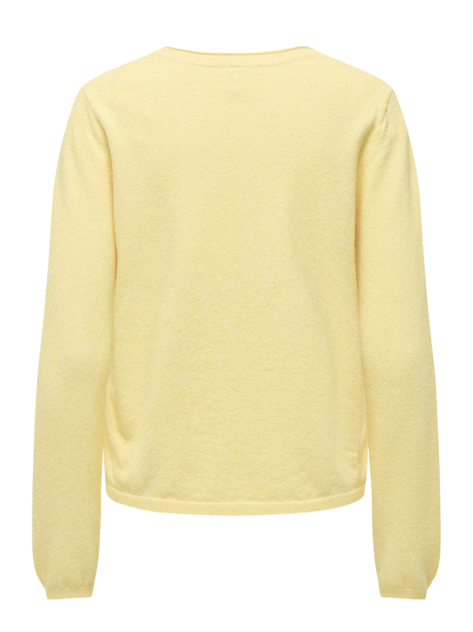 Only Strickpullover ONLLOYAL bei Robert Ley