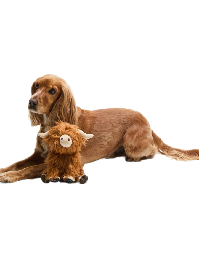 Barbour Hundespielzeug Highland Kuh bei Robert Ley