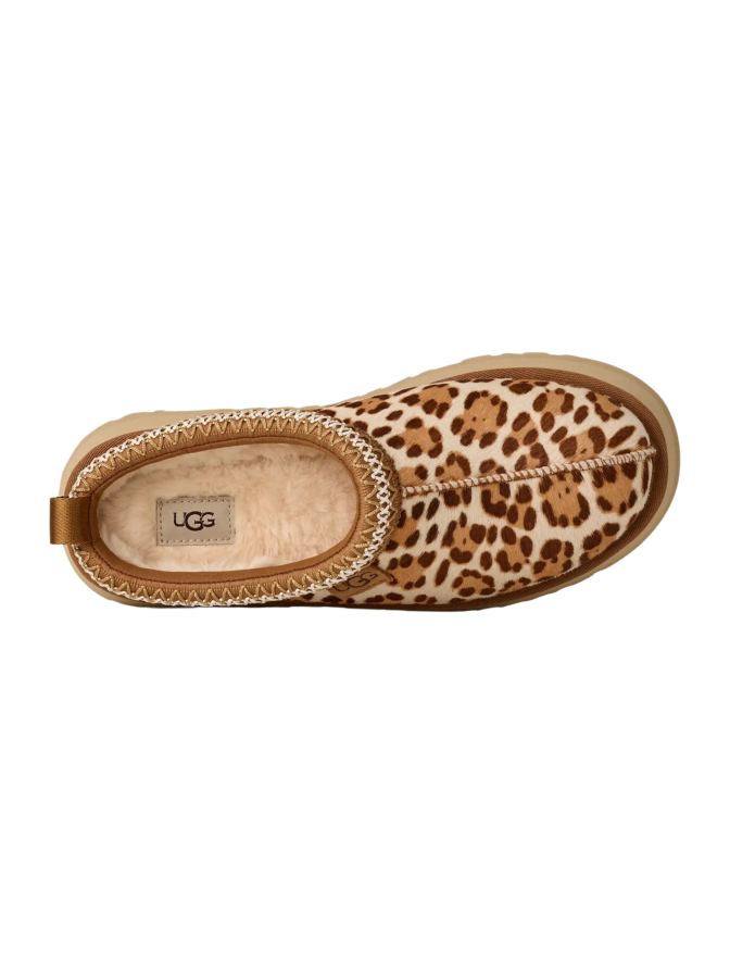UGG Slipper Tazz Plains bei Robert Ley