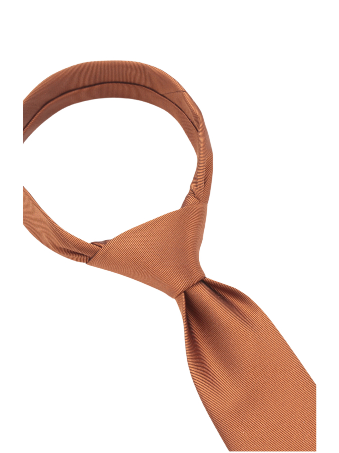 Prince Bowtie Krawatte aus Seide bei Robert Ley