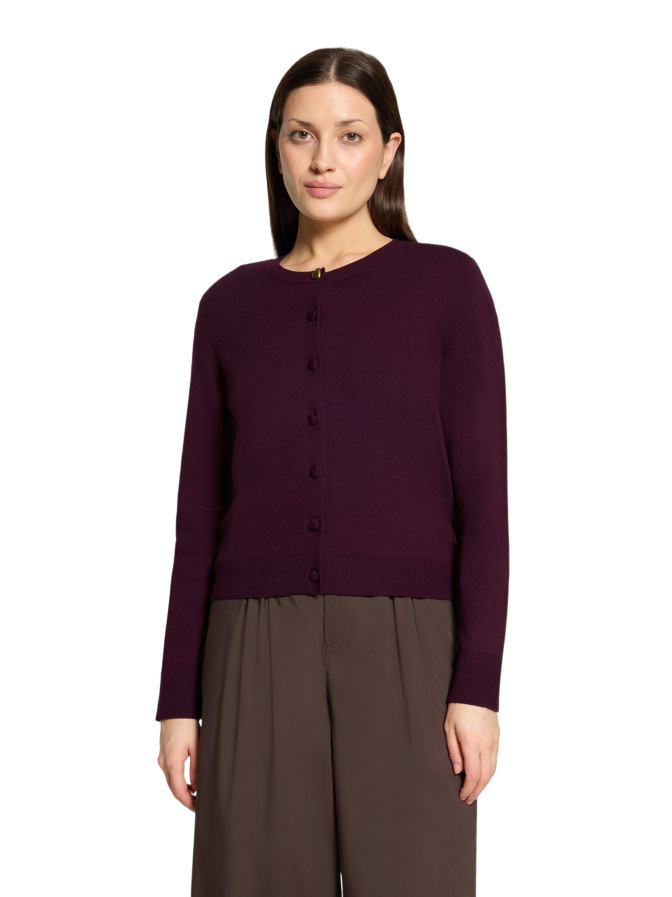 Cartoon Strickjacke mit Knopfleiste bei Robert Ley