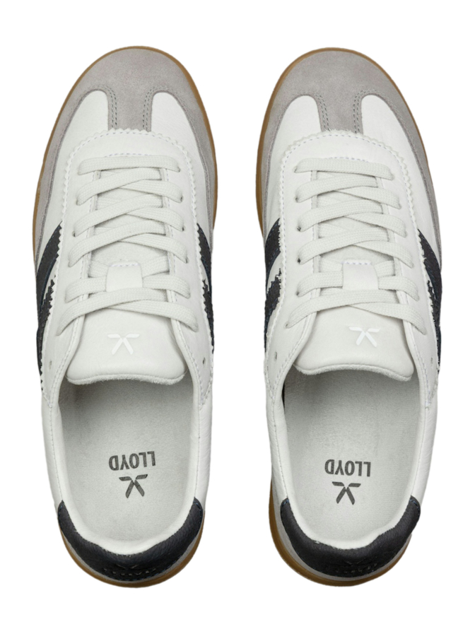 Lloyd Shoes Sneaker BRAVA bei Robert Ley