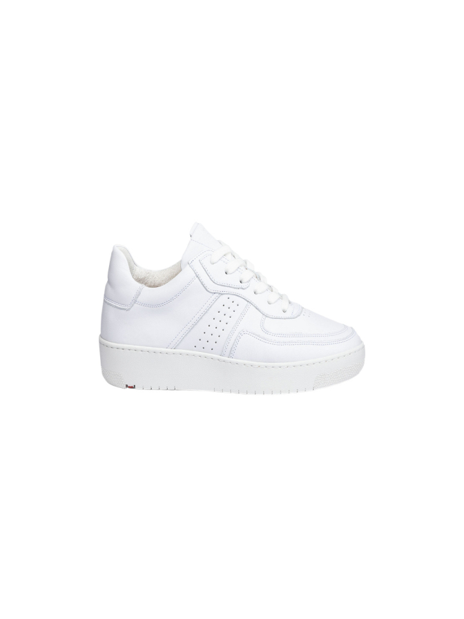 Lloyd Shoes Sneaker AREL bei Robert Ley