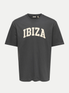 Only & Sons T-Shirt mit Schriftzug 209236002-Grey Pinstripe/IBIZA bei Robert Ley
