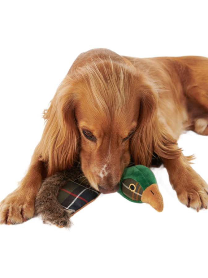 Barbour Hundespielzeug Fasan bei Robert Ley
