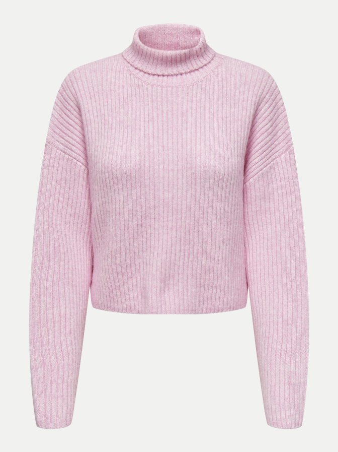 Only Rollkragenpullover Melanie bei Robert Ley
