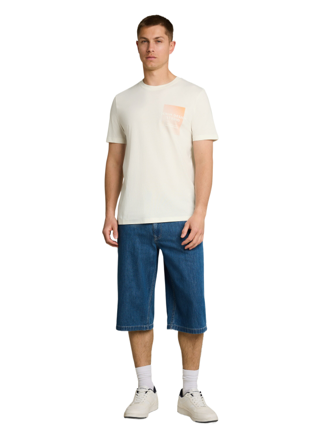 Tom Tailor Denim T-Shirt mit Print bei Robert Ley
