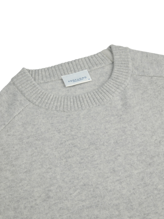 PROFUOMO Strickpullover mit Rundhalsauschnitt bei Robert Ley