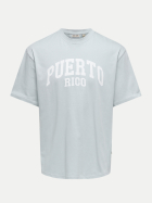 Only & Sons T-Shirt mit Schriftzug 187210001-Skyway/PUERTO RICO bei Robert Ley