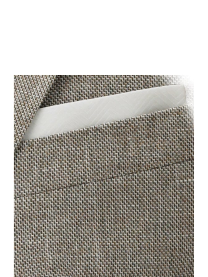 CARL GROSS Regular-Fit Sakko Tannon bei Robert Ley