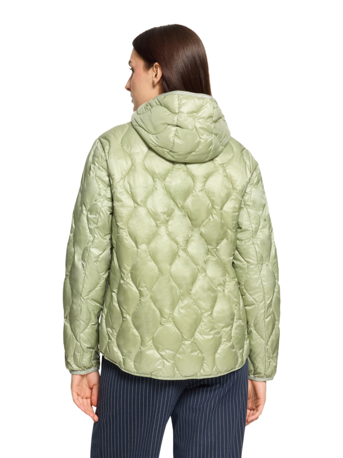 Cartoon Jacke Watte bei Robert Ley