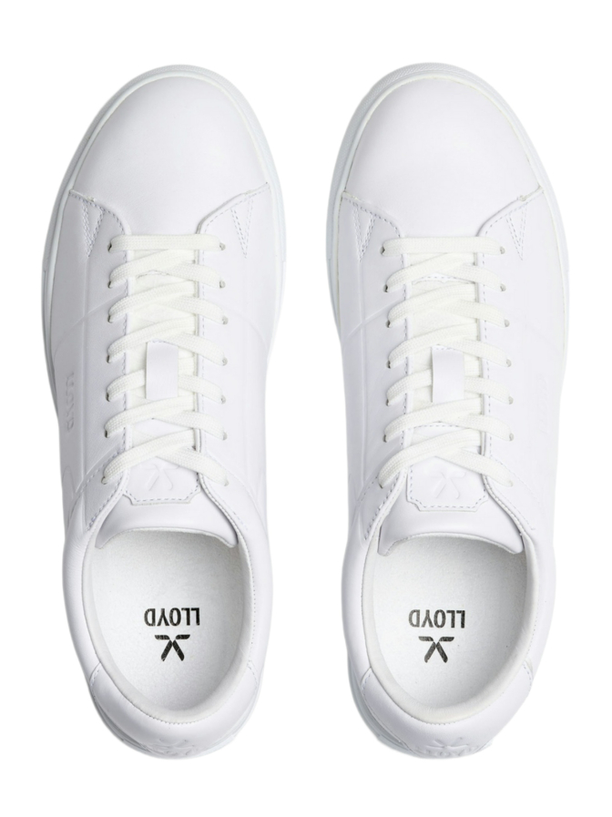 Lloyd Shoes Sneaker COURT bei Robert Ley