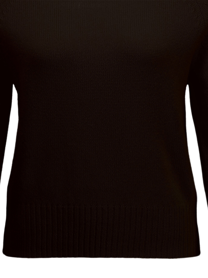 Allude Sweatshirt mit Rollkragen bei Robert Ley