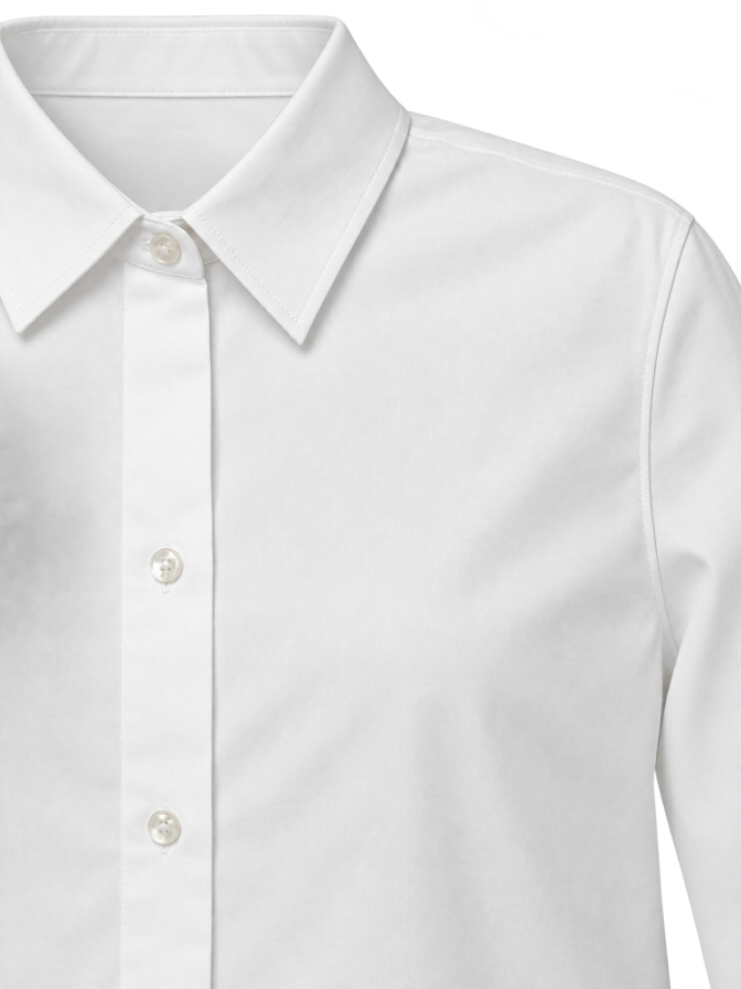 Insieme Bluse bei Robert Ley
