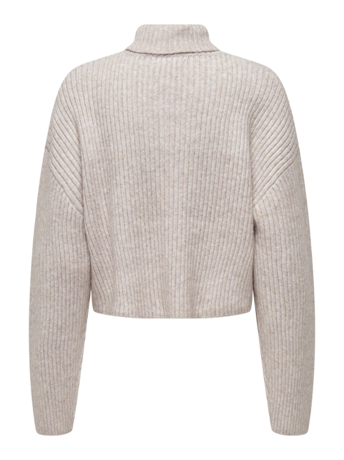 Only Rollkragenpullover Melanie bei Robert Ley