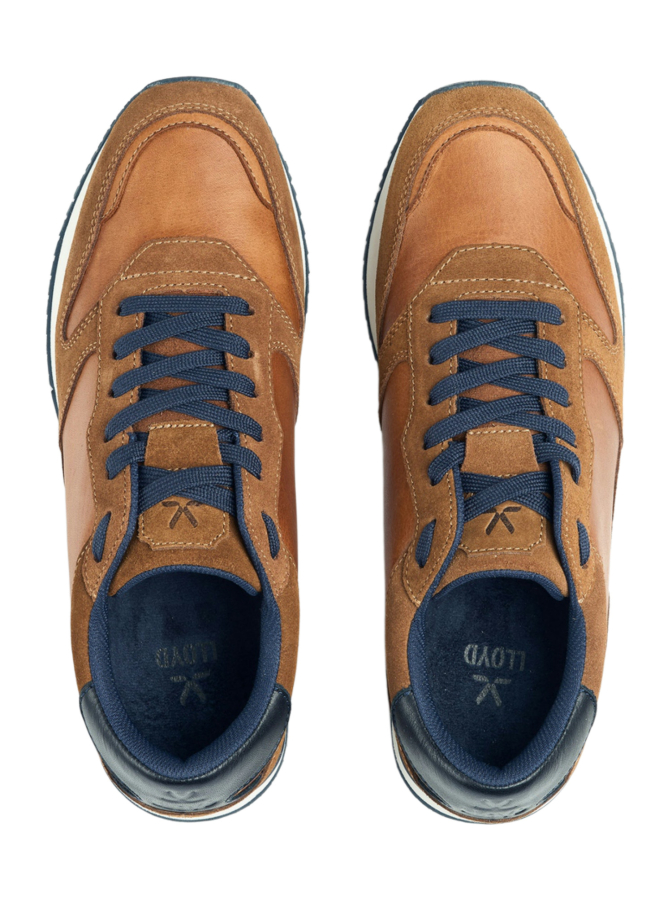 Lloyd Shoes Sneaker SWIFT bei Robert Ley