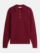 Tommy Hilfiger Pullover mit Polo-Kragen VLP-PURPLE bei Robert Ley