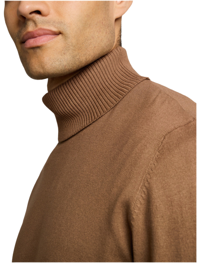 Tom Tailor Denim Rollkragenpullover bei Robert Ley