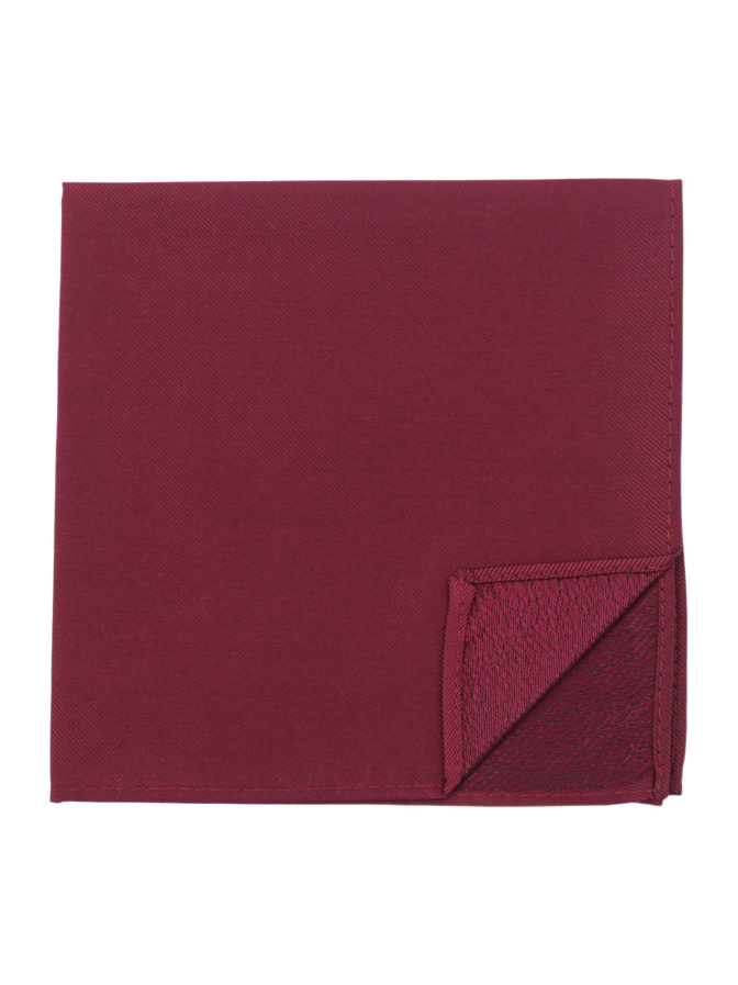 Prince Bowtie Einstecktuch Uni bei Robert Ley