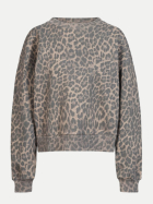 Herrlicher Cropped Sweatshirt Christy Peached Leo 144-mocca bei Robert Ley