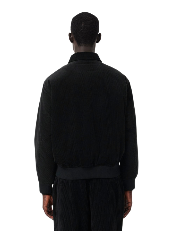 Lacoste Bomberjacke aus gefüttertem Cord bei Robert Ley