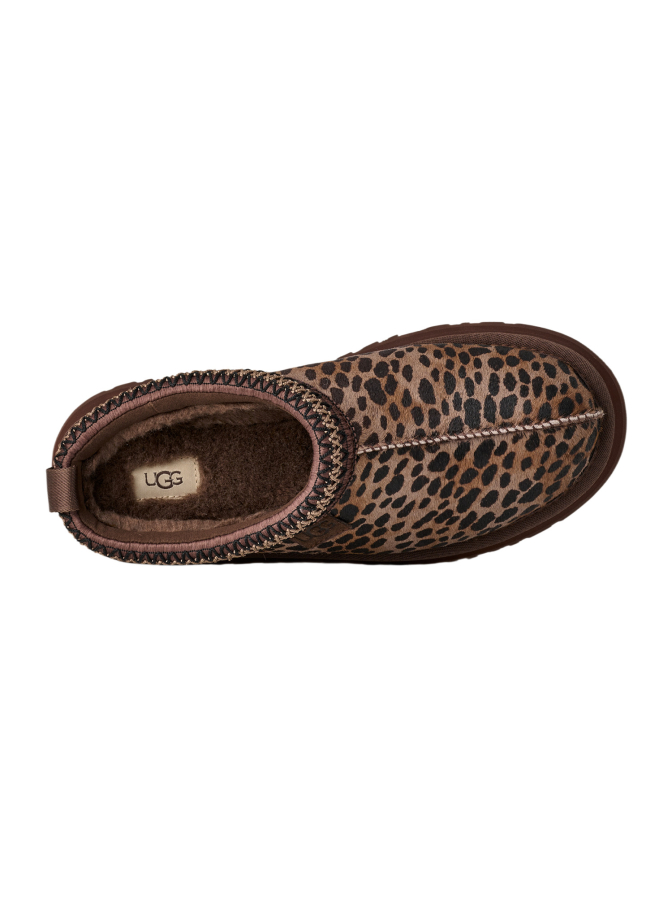 UGG Hausschuh Tazz Caspian bei Robert Ley