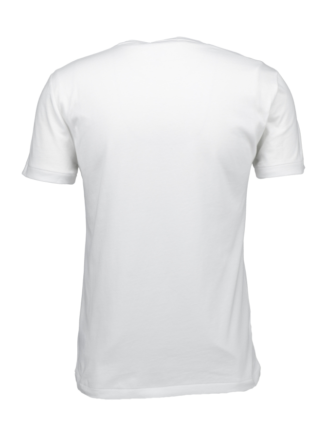 Polo Ralph Lauren T-Shirt mit Summer Bear Print bei Robert Ley