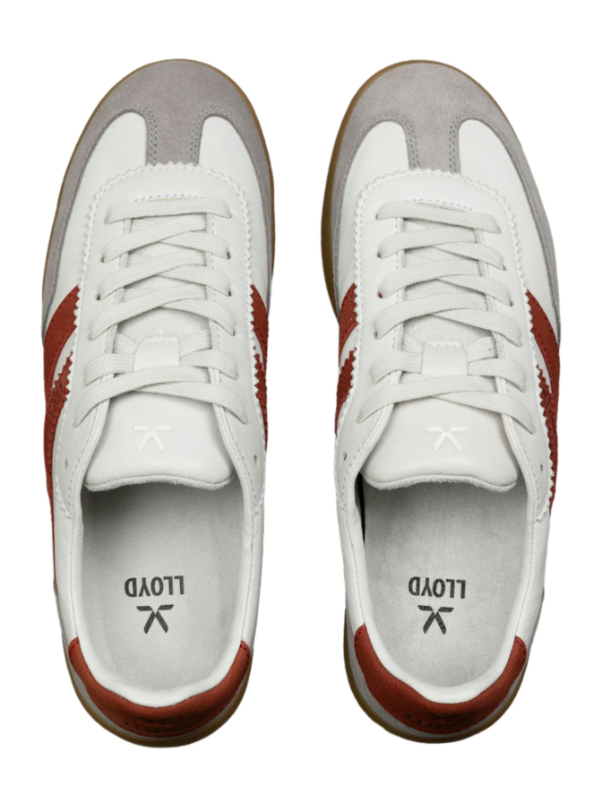 Lloyd Shoes Sneaker BRAVA bei Robert Ley