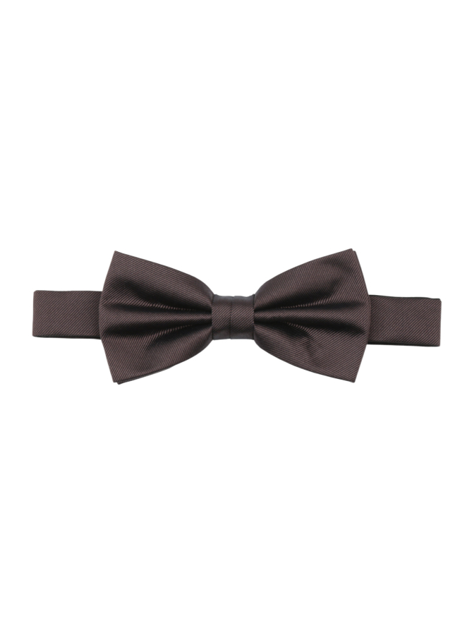 Prince Bowtie Fliege aus Seide bei Robert Ley