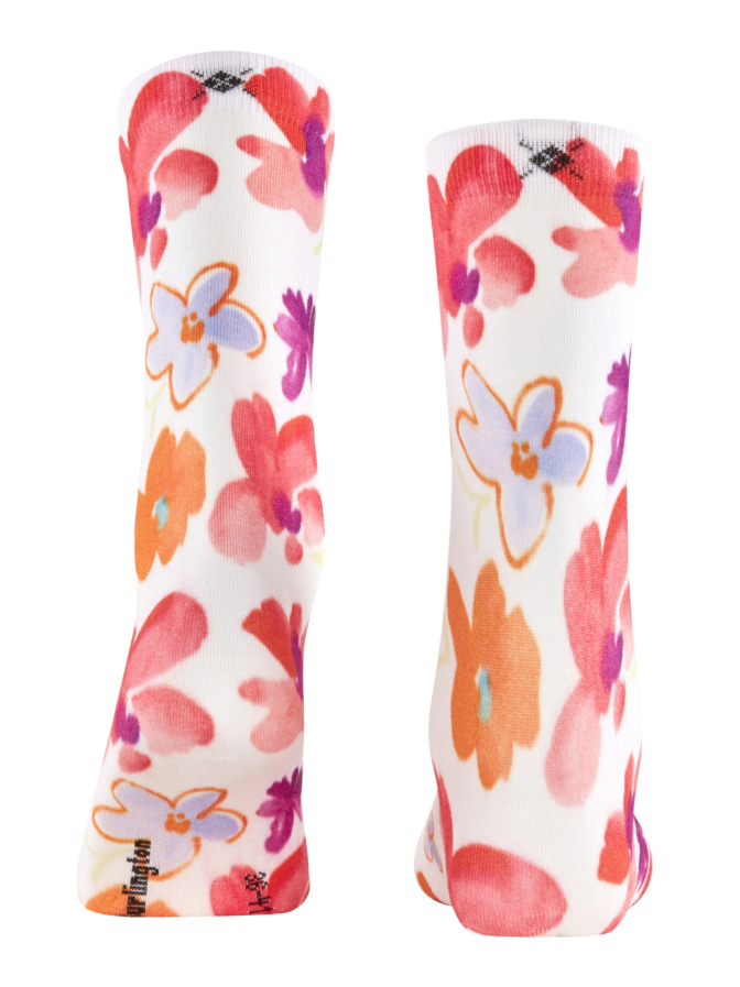 Falke Socken bei Robert Ley