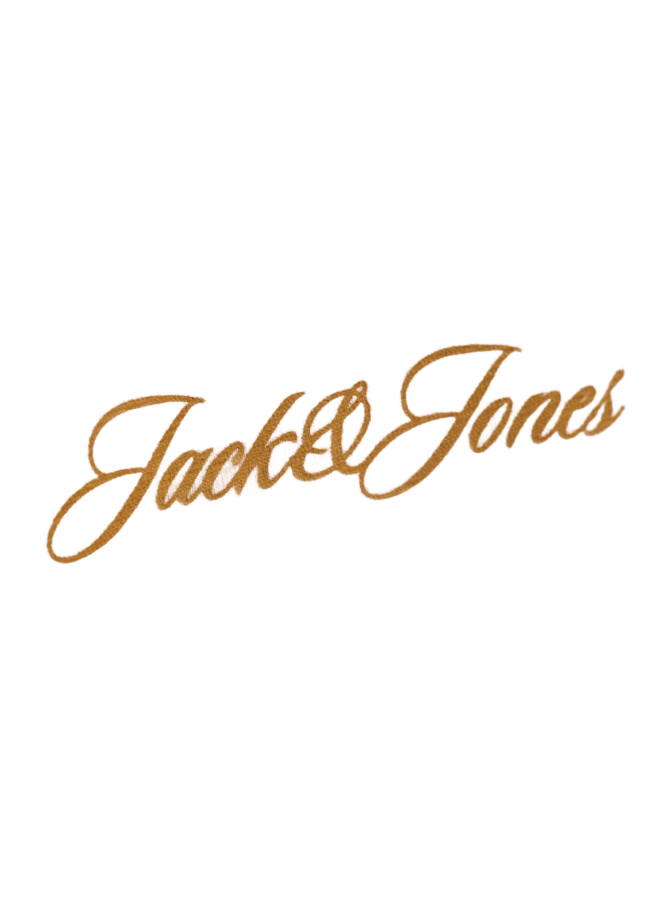 Jack & Jones T-Shirt mit Logoprint bei Robert Ley