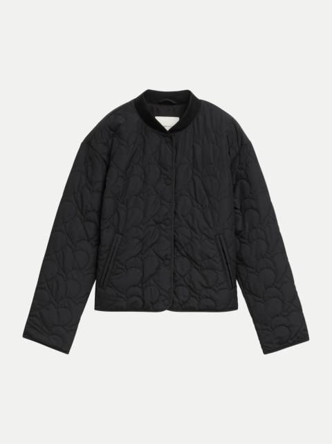 Tom Tailor Denim Bomberjacke mit Steppungen bei Robert Ley