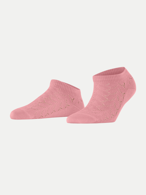 Falke FALKE Family SN Special Edition bei Robert Ley