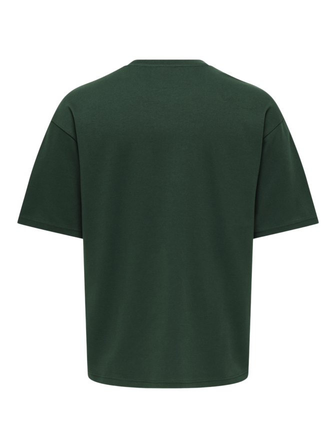 Only & Sons T-Shirt Caspian bei Robert Ley