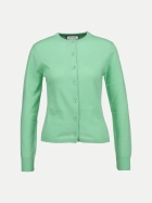 INSIEME Kaschmir Strickjacke 768-pistacchio bei Robert Ley