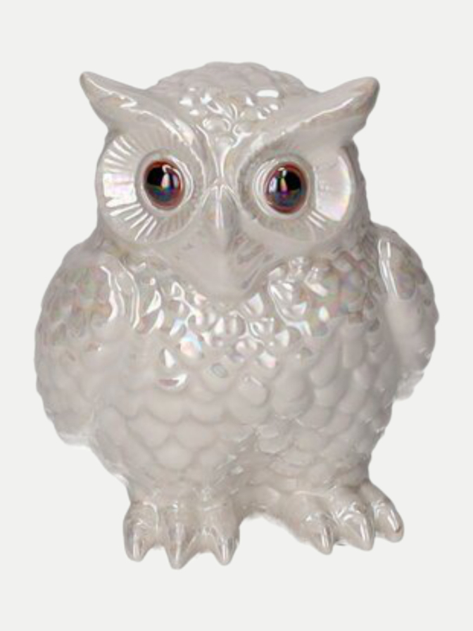 Giftcompany Mignon Vase Eule bei Robert Ley