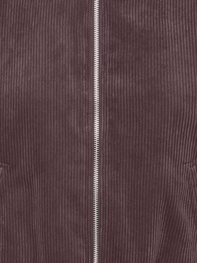 JDY Cordblouson JDYALBA Kragenlos bei Robert Ley