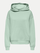 Only Sweatshirt Hoodie Onladele 237575007-Subtle Green/Happiness romance rose bei Robert Ley