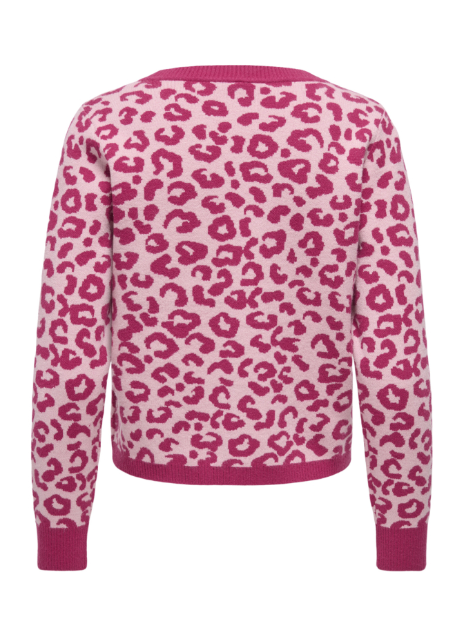Only Strickjacke ONLLEO mit Leo-Print bei Robert Ley